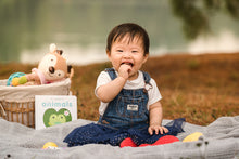 Load image into Gallery viewer, Family Portraiture By Shin (90 Minutes)